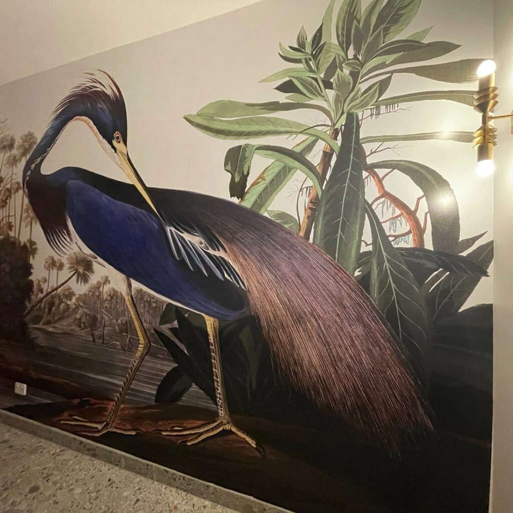 Image #1 from Phoebe (Yurtdışı mağazamızın yorumudur, Türkçeye çevrilmiştir.)