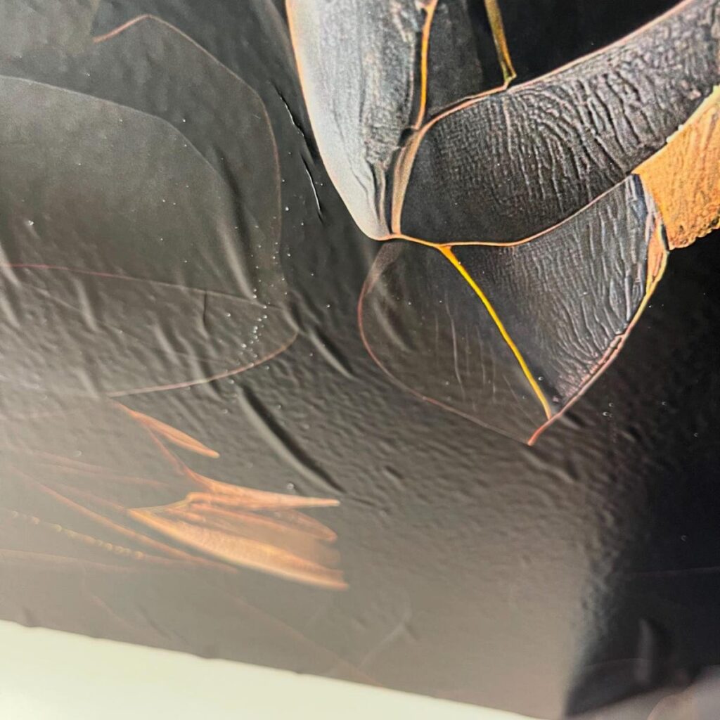 Image #1 from Denise (Yurtdışı mağazamızın yorumudur, Türkçeye çevrilmiştir.)